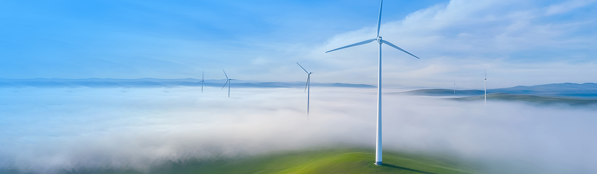 Sustainable Development