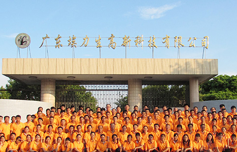 Company employee activities