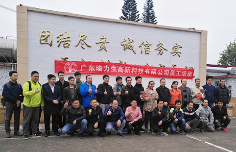 Company employee activities