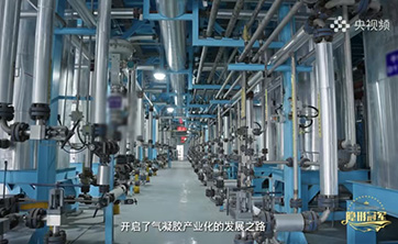 埃力生隐形冠军专题纪录片登陆央视频